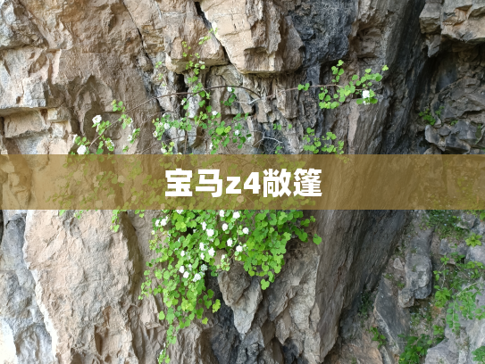 宝马z4敞篷