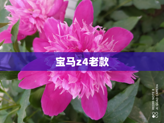 宝马z4老款