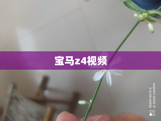 宝马z4视频