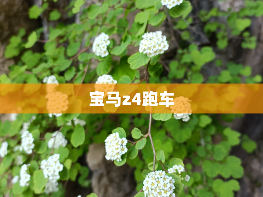 宝马z4跑车
