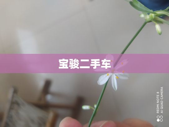 宝骏二手车