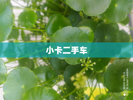 小卡二手车