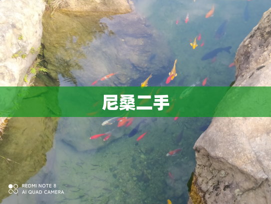 尼桑二手