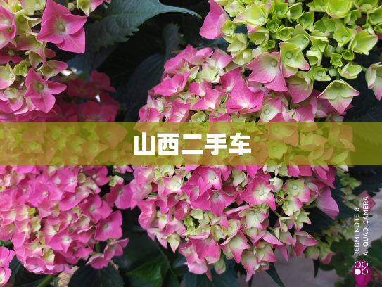 山西二手车