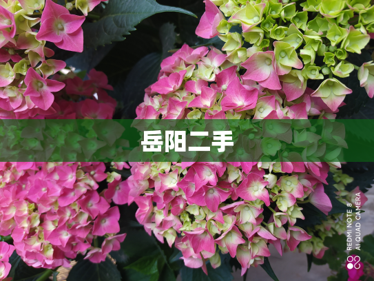 岳阳二手