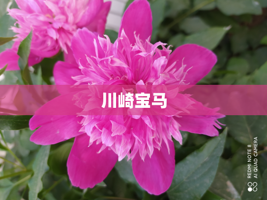 川崎宝马