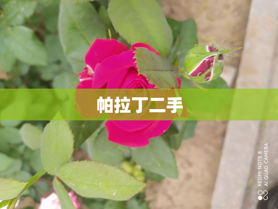 帕拉丁二手