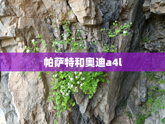 帕萨特和奥迪a4l
