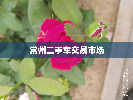 常州二手车交易市场