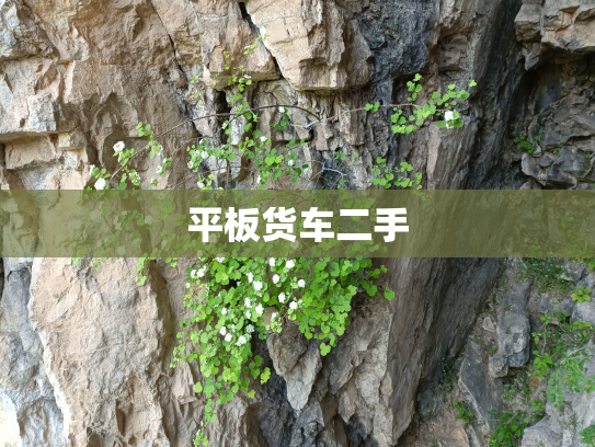 平板货车二手