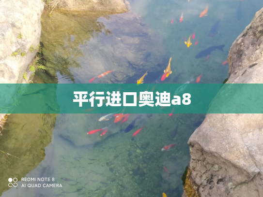 平行进口奥迪a8