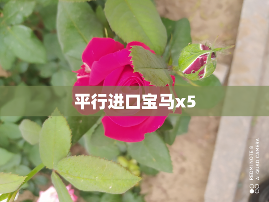 平行进口宝马x5