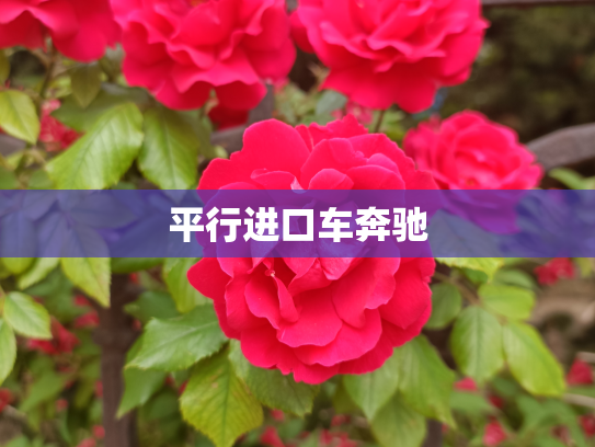 平行进口车奔驰