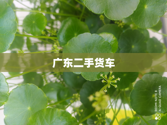 广东二手货车