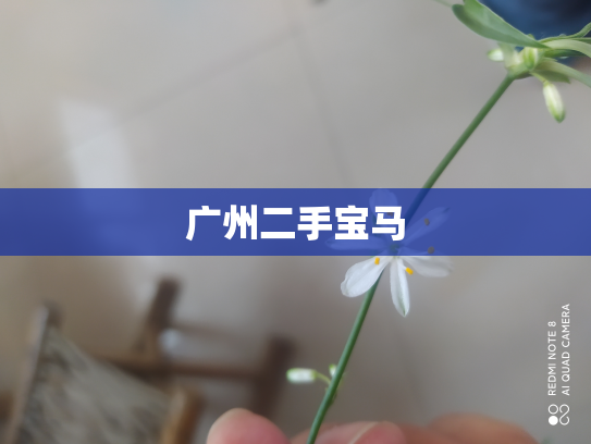 广州二手宝马
