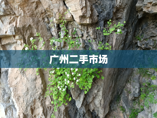 广州二手市场