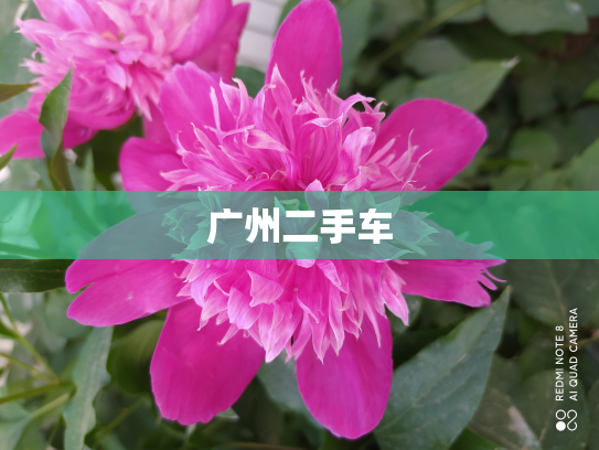 广州二手车
