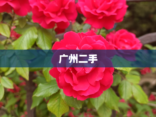 广州二手