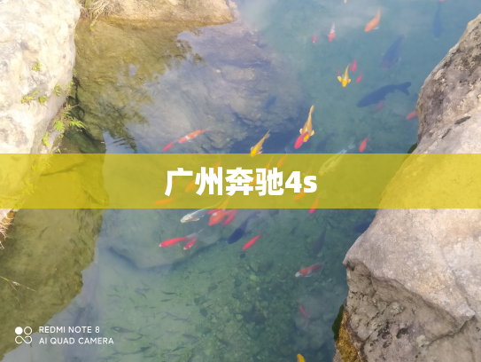 广州奔驰4s