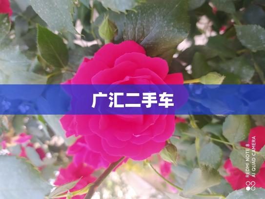 广汇二手车