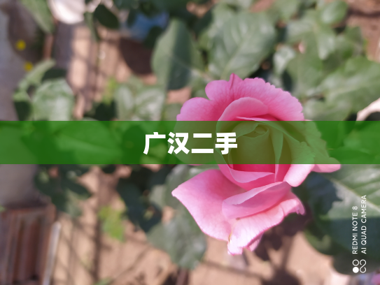 广汉二手