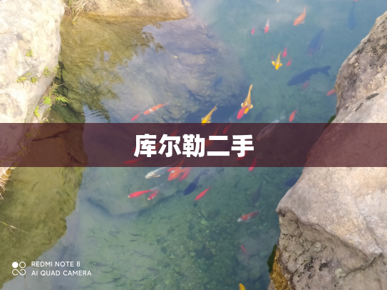 库尔勒二手