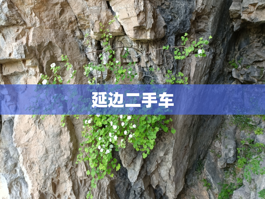 延边二手车