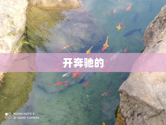 开奔驰的