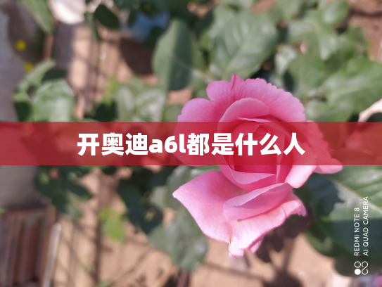 开奥迪a6l都是什么人