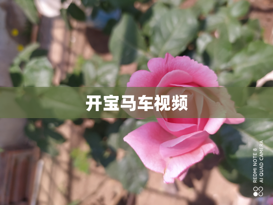 开宝马车视频