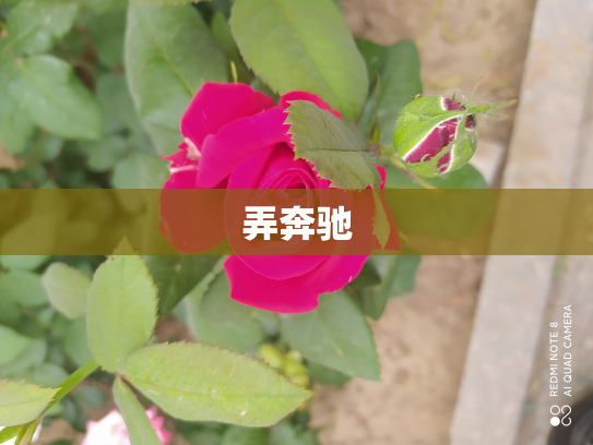弄奔驰