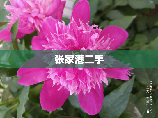 张家港二手