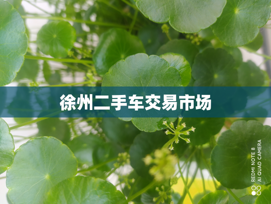 徐州二手车交易市场