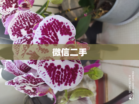 微信二手