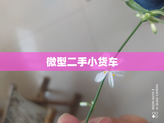 微型二手小货车