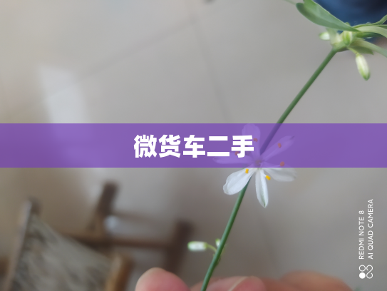 微货车二手