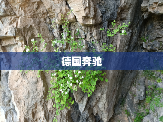 德国奔驰