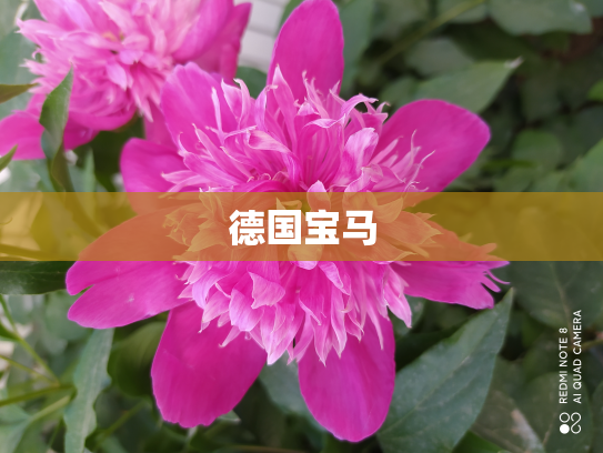 德国宝马