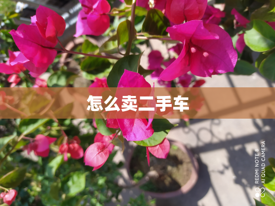 怎么卖二手车