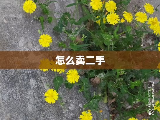 怎么卖二手