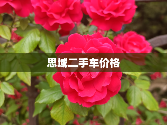 思域二手车价格