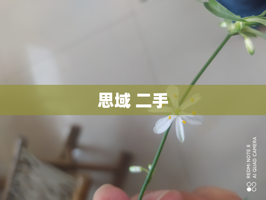 思域 二手