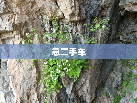 急二手车