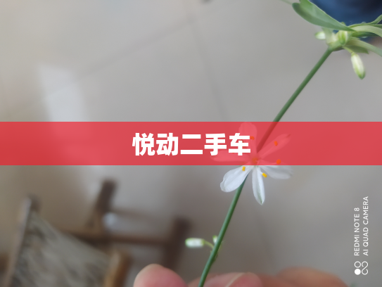 悦动二手车