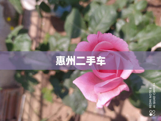 惠州二手车