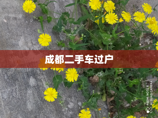 成都二手车过户