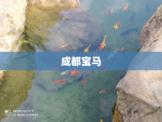 成都宝马