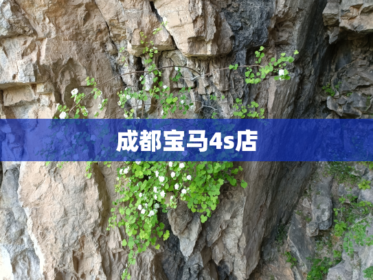 成都宝马4s店