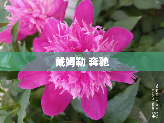 戴姆勒 奔驰