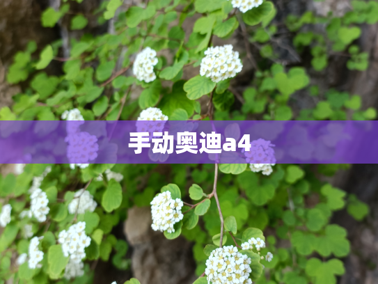 手动奥迪a4